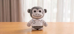Explainer Monkey